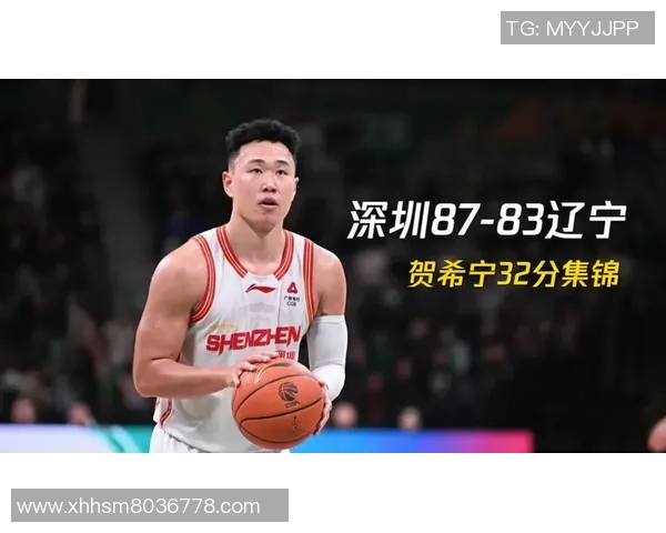 贺希宁：从篮球新星到职业生涯的璀璨旅程与未来展望