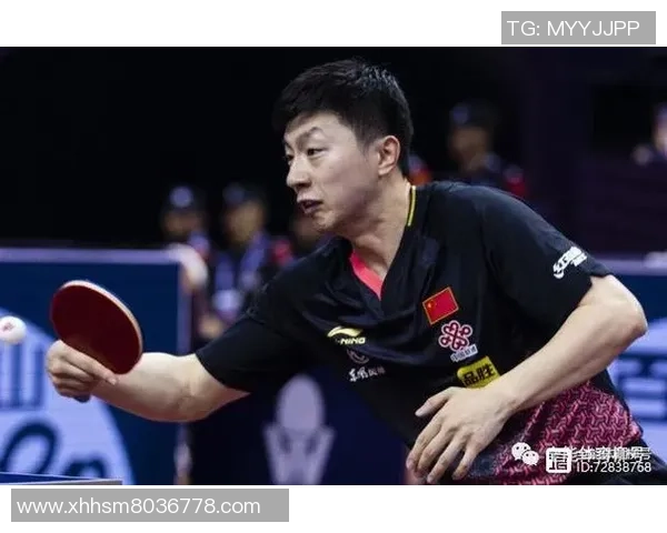 上海乒乓球队在钻石联赛中的转型与挑战探索新篇章