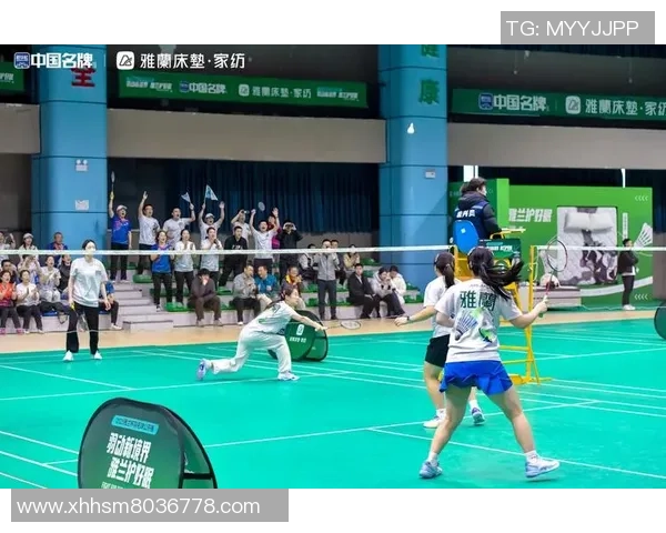 成都羽毛球队反击之路的得失与启示分析MBA 成都羽毛球队反击之路的得失与启示分析MBA