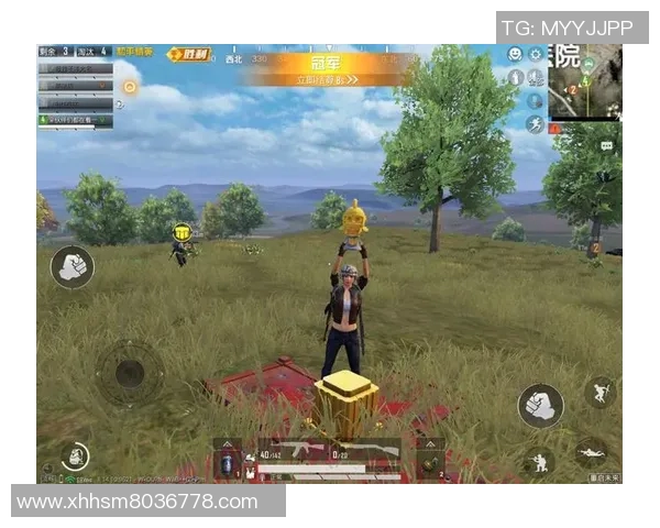 和平精英评论：WE在阵地战中的表现分析与战术反思