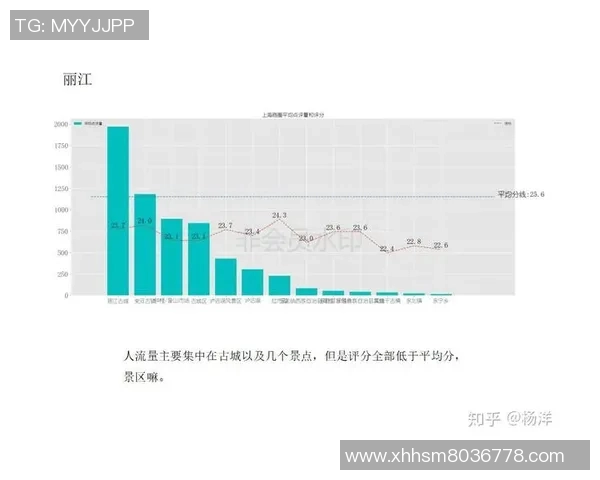 北京排球队在挑战赛中的团队协作表现分析与点评