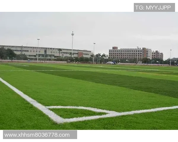 广州足球队阵地战分析：优劣势及未来发展方向探讨