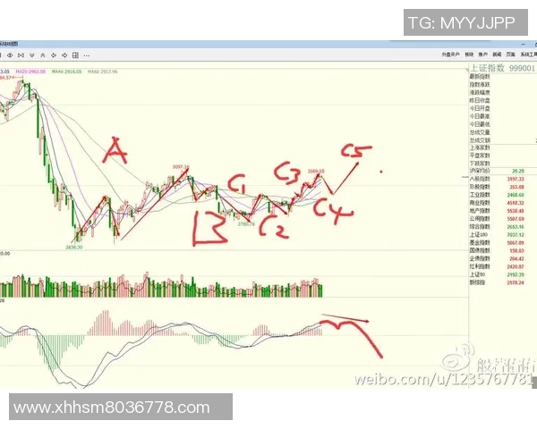 V5战队防守策略分析:优劣势与未来改进方向探讨 V5战队防守策略分析:优劣势与未来改进方向探讨
